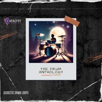 Catalyst Samples - The Drum AnthologySample Packs