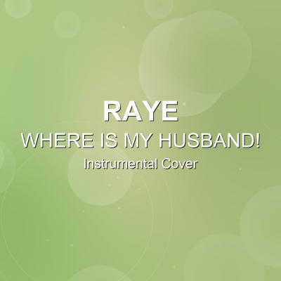 WHERE IS MY HUSBAND! - RAYE - Instrumental CoverInstrumental Covers