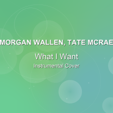 What I Want - Morgan Wallen, Tate McRae - Instrumental Cover