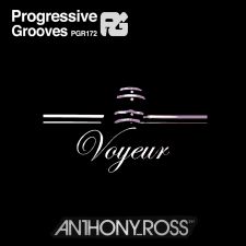 Anthony Ross - Voyeur (Dj Mikas Remix)
