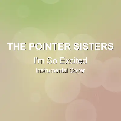I'm So Excited - The Pointer Sisters - Instrumental CoverInstrumental Covers