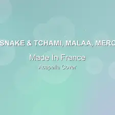 Made In France - DJ Snake & Tchami, Malaa, Mercer - Acapella Cover