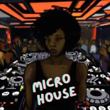 Catalyst Samples - Micro House