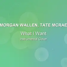What I Want - Morgan Wallen, Tate McRae - Instrumental Cover